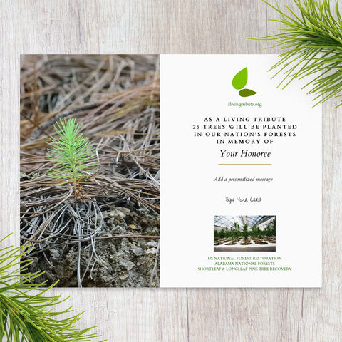 Plant a Tree for Someone in Alabama - Memorial & Tribute Trees