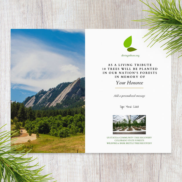 Plant a Tree for Someone in Colorado - Colorado Memorial Trees