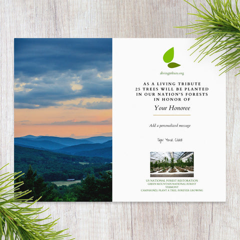 Plant a Tree for Someone in Vermont - Memorial & Tribute Trees