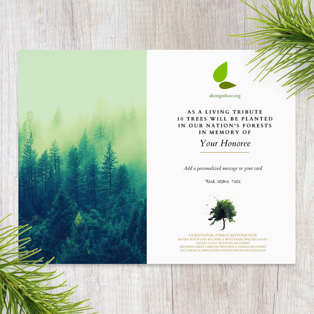 Plant-a-Tree Sympathy Card - Plant a Tree in Memory of a Loved One