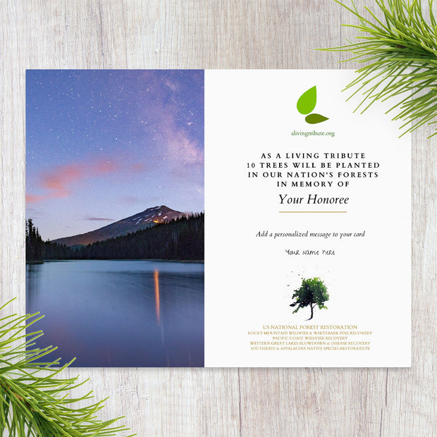 Plant-a-Tree Sympathy Card - Plant a Tree in Memory of a Loved One