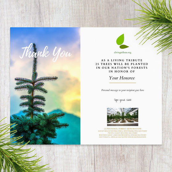 Plant-a-Tree Thank You Card