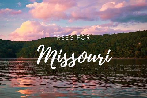Plant a Tree for Someone in Missouri - Memorial & Tribute Trees