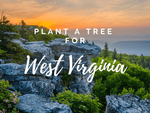 Plant a Tree for West Virginia