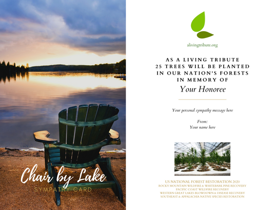 Send a Reforestation Sympathy Card - A Living Tribute®