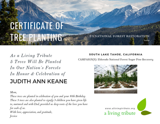 Plant-a-Tree Gift with E-Certificate