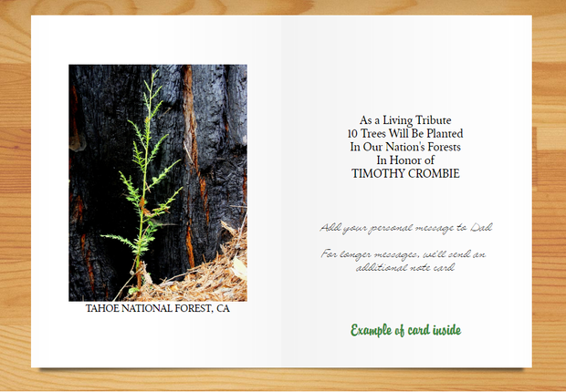 Plant-a-Tree Card for Father's Day