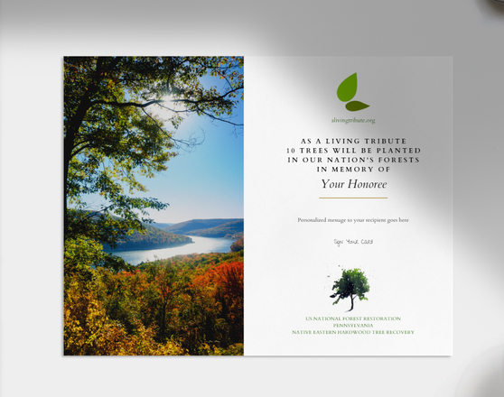 Plant a Tree for Someone in Pennsylvania - Memorial & Tribute Trees