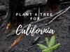 Plant a Tree in California