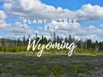 Plant a Tree for Wyoming