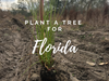 Plant a Tree in Florida