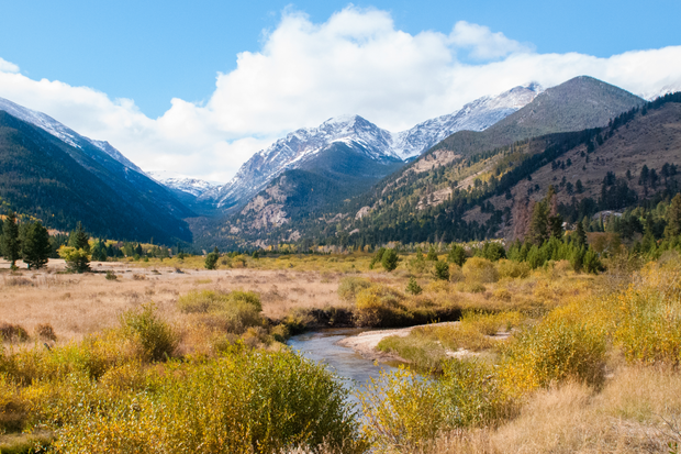 Plant a Tree for Someone in Colorado - Colorado Memorial Trees