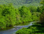 New York State Watersheds