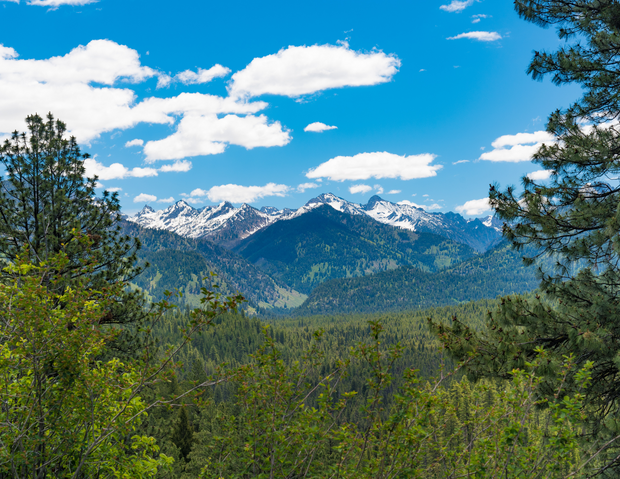 Idaho National Forests