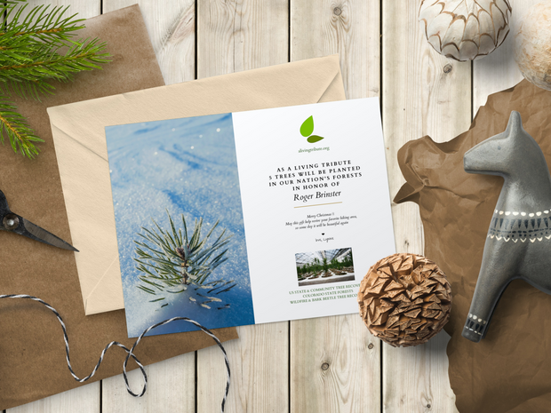 Plant a Tree Holiday Card