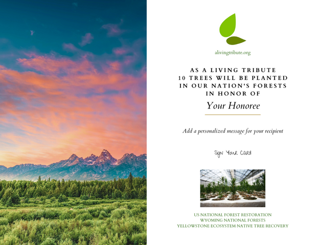 Plant a Tree for Someone in Wyoming - Memorial & Tribute Trees