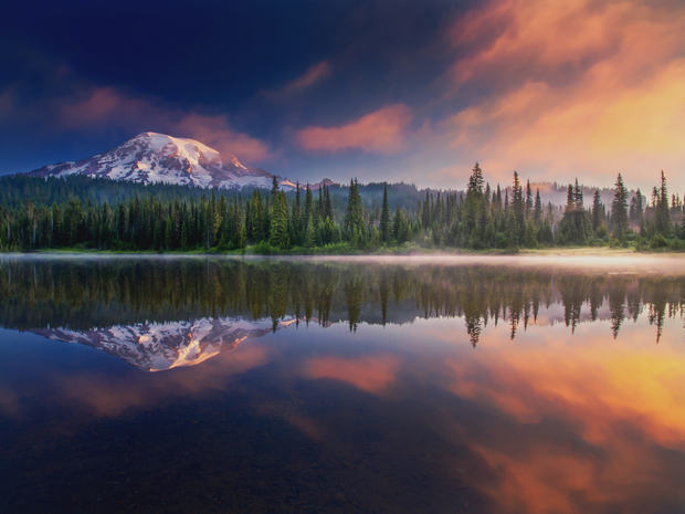 Plant a Tree for Someone in Washington - Memorial & Tribute Trees