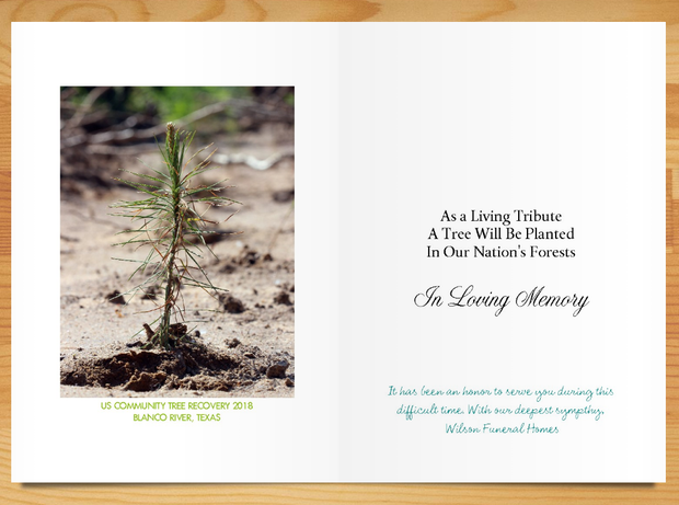 Plant-a-Tree Cards - A Living Tribute