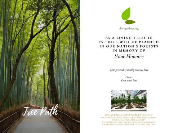 Send a Reforestation Sympathy Card - A Living Tribute®